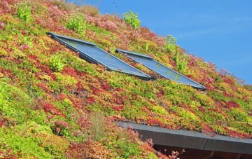 Sutton Cum Lound living roof systems